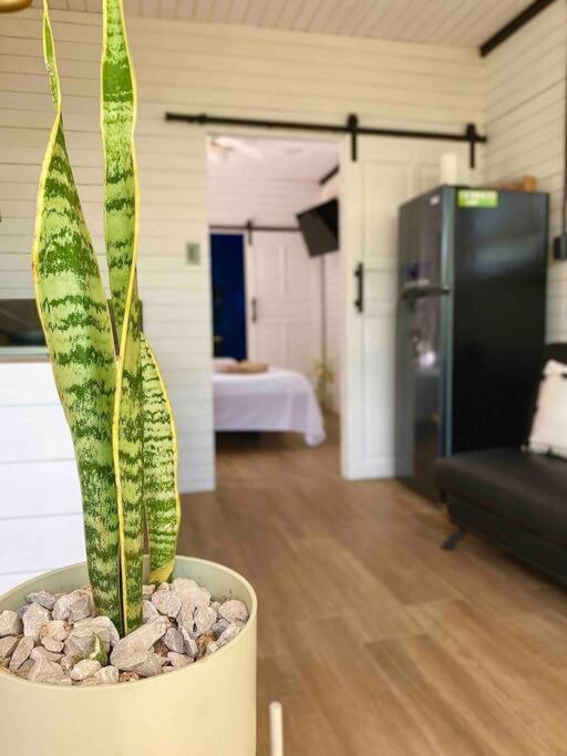 Appartement Hoja Azul Loft Guanacaste à Hojancha Extérieur photo
